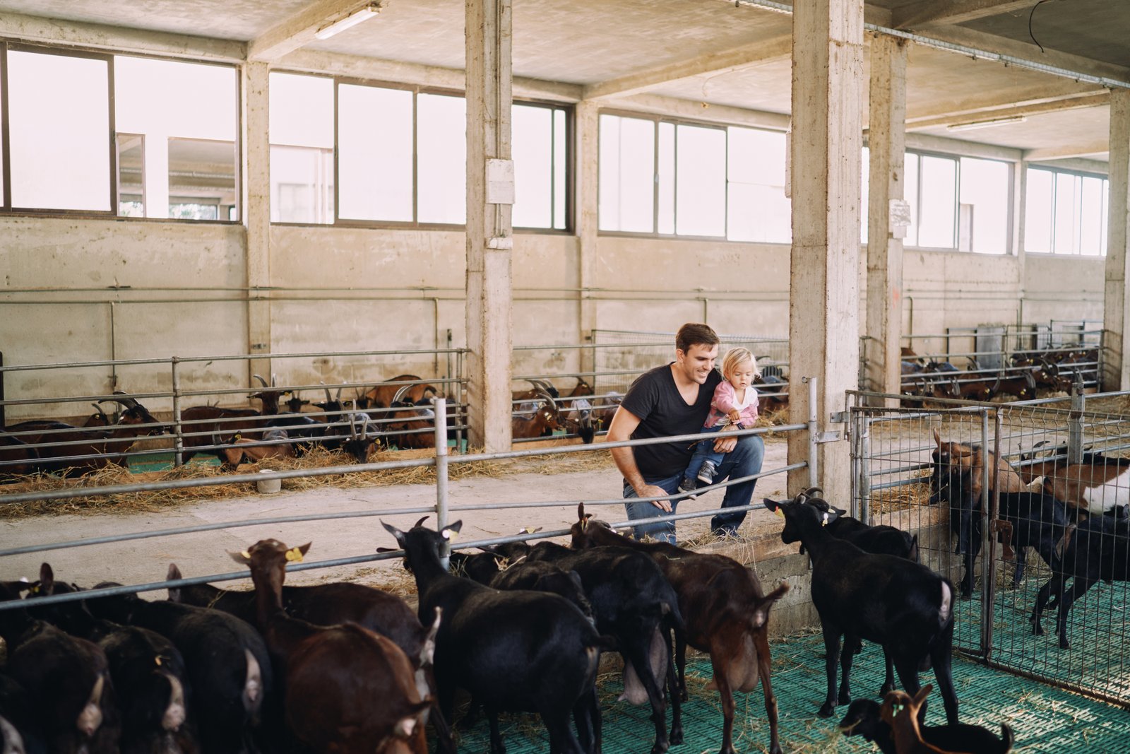 Livestock & Animal Farming